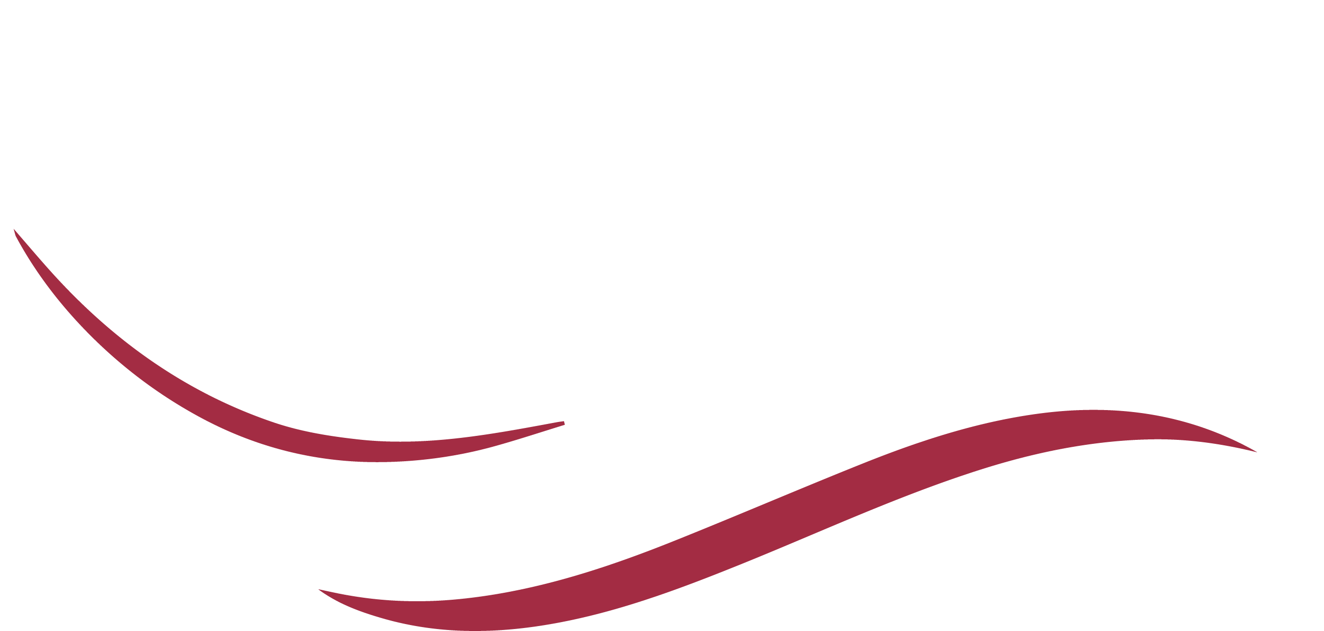 MMQS Logo - White